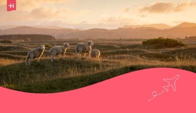 Beste reistijd Nieuw-Zeeland