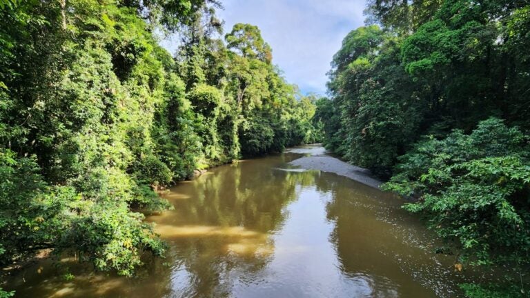 Danum Valley op Borneo
