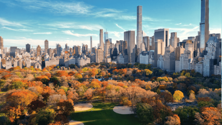 Foto van Central Park en de skyline van New York