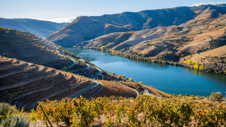 Foto van de Douro-rivier en glooiende terrassen