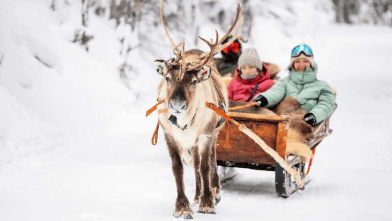 Een gezin gaat op rendiersafari in Lapland