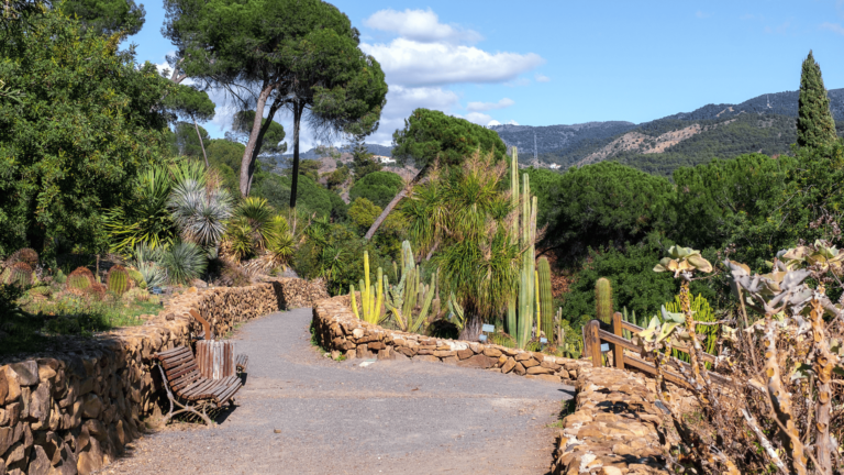 De cactustuin in de botanische tuin van Malaga