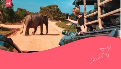 Uitgelichte afbeelding voor een artikel over safari op Zanzibar: Vrouw maakt foto van olifant tijdens safari vanuit jeep op zandweg in Tanzania bij Zanzibar.