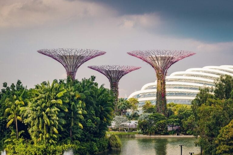 Gardens by the Bay, een van de bekendste bezienswaardigheden in Singapore