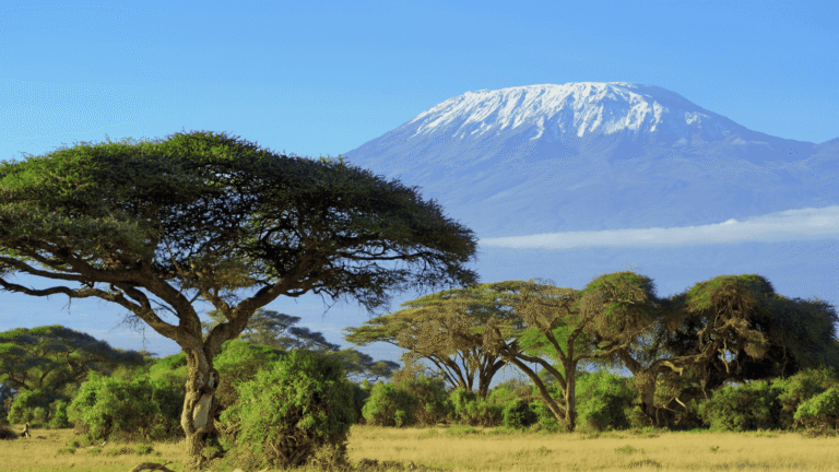 Besneeuwde bergtop van de Kilimanjaro