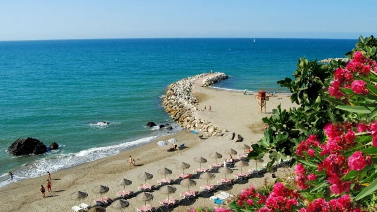 Uitzicht op een zonnig strand in Málaga met helderblauw water en felroze bloemen op de voorgrond, een ontspannende toevoeging aan de lijst van beste stedentrips Europa.