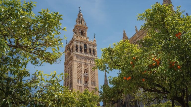 De Giralda-toren in Sevilla gezien door de takken van sinaasappelbomen vol vruchten, een van de meest sfeervolle bestemmingen voor de beste stedentrips Europa.