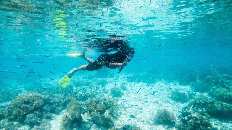 Een snorkelaar zwemt tussen honderden kleine vissen in het heldere turquoise water bij de Perhentian eilanden in Maleisië.
