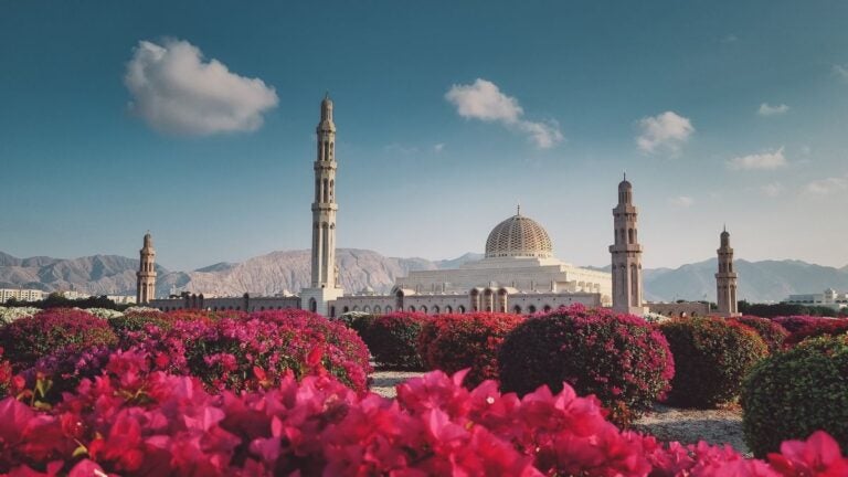 De Grote Sultan Qaboos-moskee in Muscat, Oman, prachtig omringd door bloeiende roze bougainvillea.