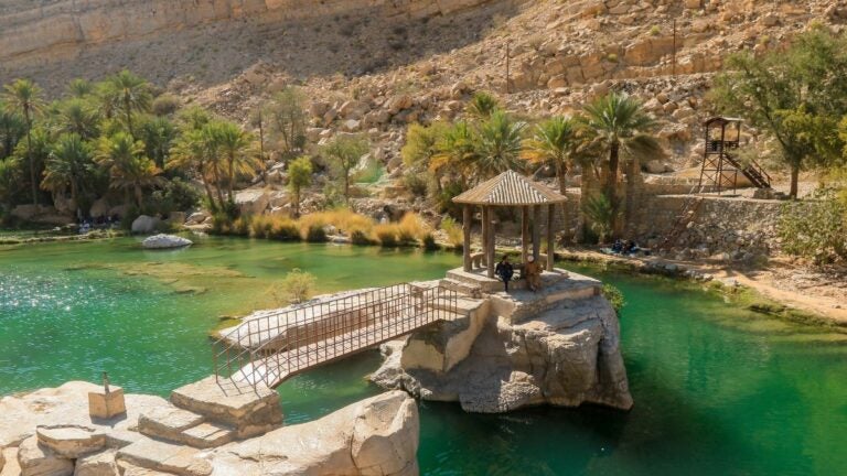 Een idyllisch groen meer in Wadi Shab, Oman, met een houten paviljoen op een rots en omringd door palmbomen.