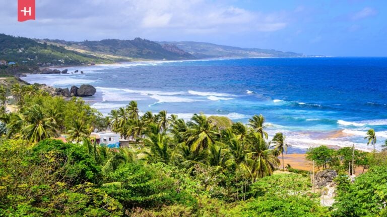 Strand van Bathsheba op Barbados, een van de mooiste Caribische eilanden