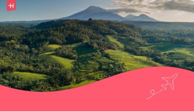 Luchtfoto van de rijstvelden op Bali, een van de mooiste eilanden van Indonesië