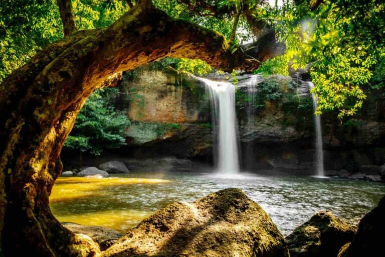 Waterval in Khao Yai National Park, omringd door dicht tropisch bos en rotsen.
