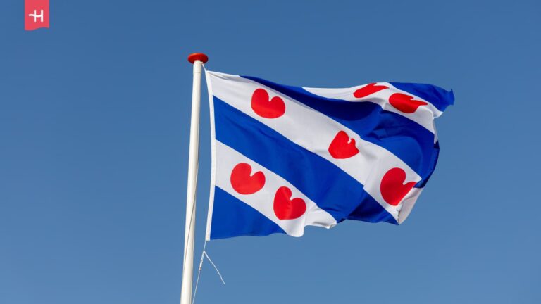 Friese vlag
