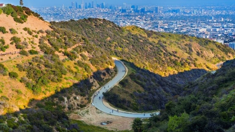 Runyon Canyon