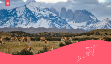 W-trek Patagonië