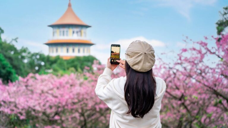 台湾・台北の天元宮で桜を背景にスマートフォンで撮影する女性観光客。春のピンクの花と青空、伝統的な建築が調和した美しい風景