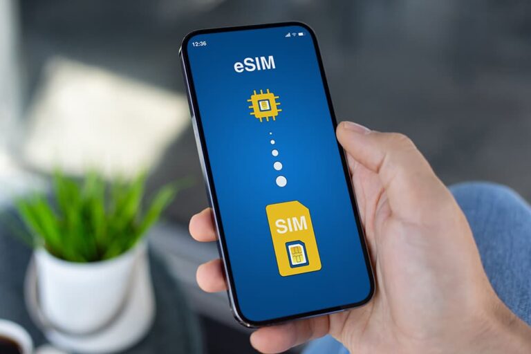 SIMカードとeSIMのイラストが表示されたスマートフォンを手に持つ様子