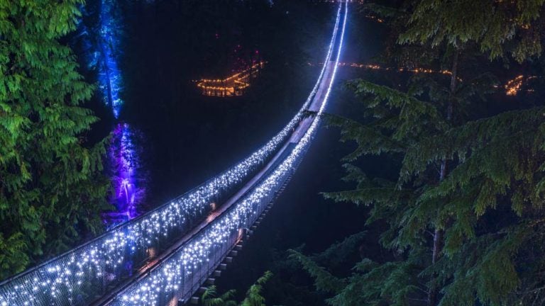 夜にライトアップされたキャピラノ吊り橋、周囲の森が幻想的な光に包まれた美しい光景