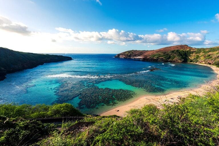 透明度の高い海とサンゴ礁が広がるオアフ島のハナウマ湾の風景