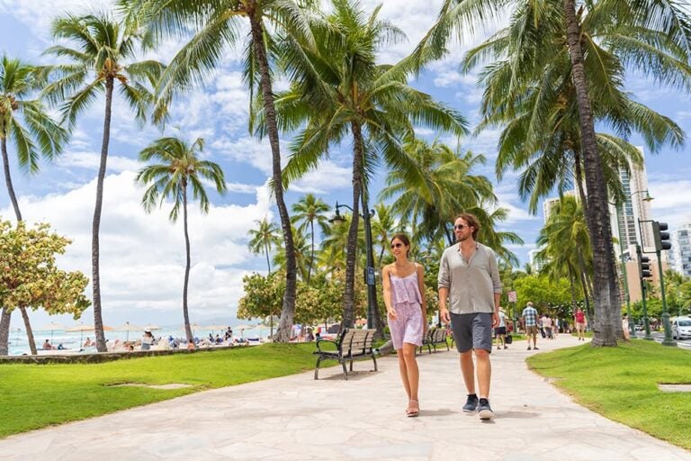 ヤシの木が並ぶワイキキの遊歩道を散策する旅行者と晴天のハワイらしい風景