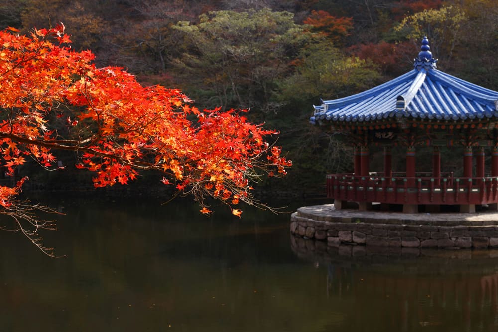 韓国旅行安い時期 ソウルは9月〜11月が安い