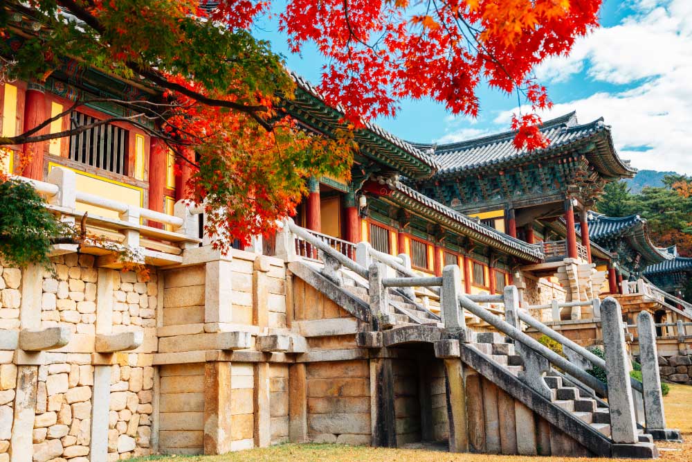 韓国・慶州にある仏国寺（ブルグクサ）の秋の風景。紅葉したカエデの葉が美しく彩り、伝統的な韓国の寺院建築が青空の下に映える。石造りの階段と木造の建物が歴史を感じさせる韓国の世界遺産。