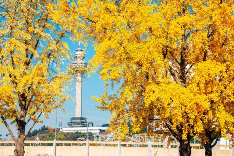 south-korea-daegu-e-world-83tower-autumn.jpg