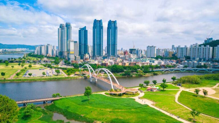 韓国・蔚山（ウルサン）の太和江と橋、高層ビル群が広がる夏の風景。緑あふれる公園と近代的な都市景観が調和した印象的な一枚。
