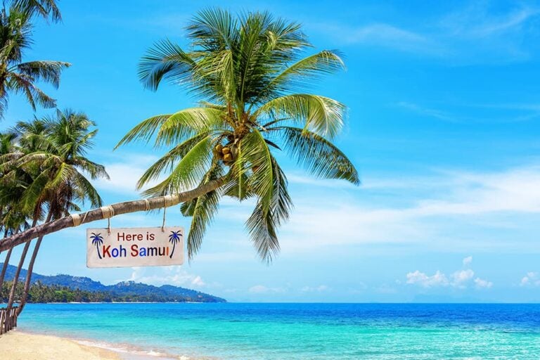 「Here is Koh Samui」の看板が掛かるヤシの木とエメラルドグリーンのビーチ