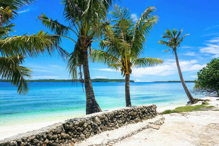 8月のグアム、穏やかな青い海とヤシの木が並ぶビーチの風景を紹介する写真。家族旅行にも人気のリゾート地をイメージ