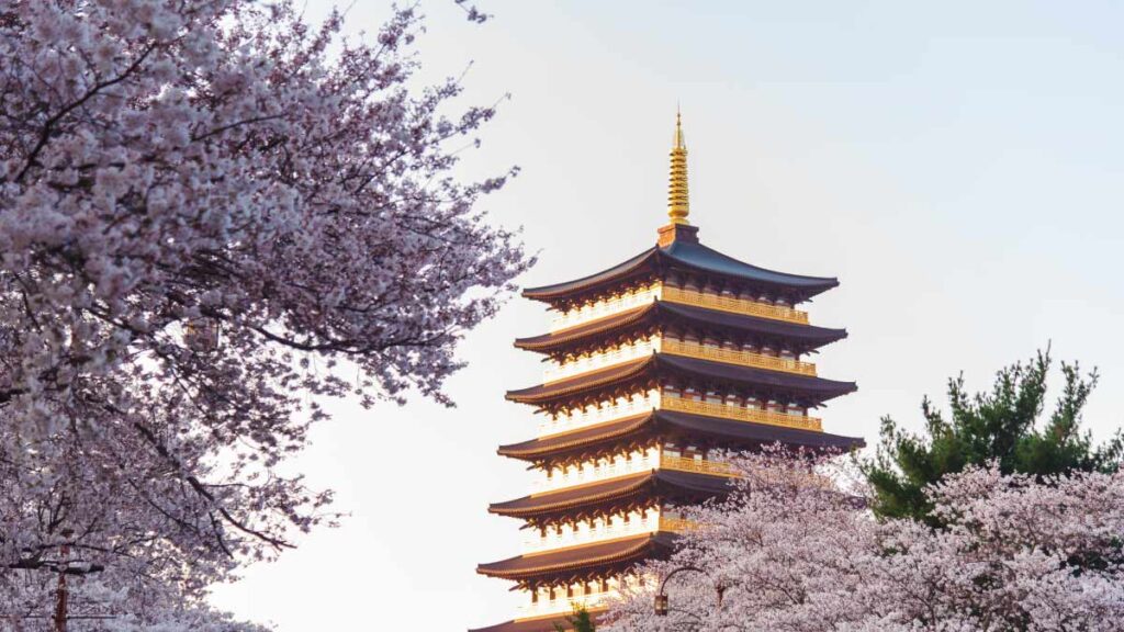 韓国・富川(プチョン)にある荘厳な五重塔が、満開の桜に囲まれた春の夕暮れに美しく輝いている風景。