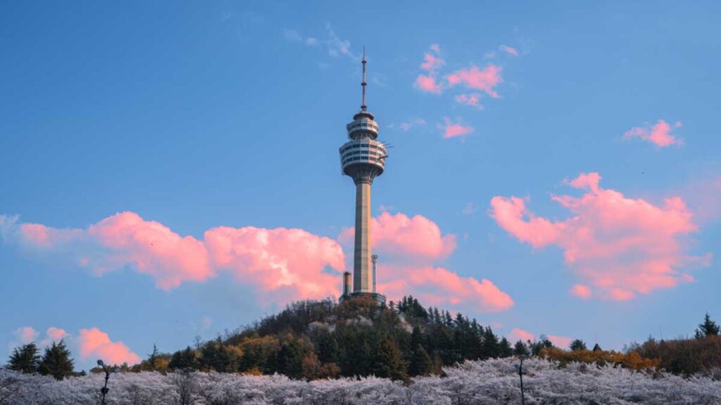 韓国・大邱にあるEワールド83タワーが、春の桜と夕焼け空に包まれながら丘の上にそびえる風景。