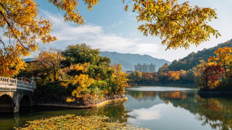 韓国・大邱の寿城湖が秋の紅葉に包まれる風景。静かな湖面に色づいた木々が映り込み、橋や山々が背景に広がる穏やかな景色。