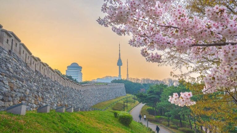 韓国・ソウルの南山にある城郭沿いの遊歩道を、春の桜とともに歩く人々の風景。背景にはNソウルタワーがそびえ、穏やかな夕景が広がる。