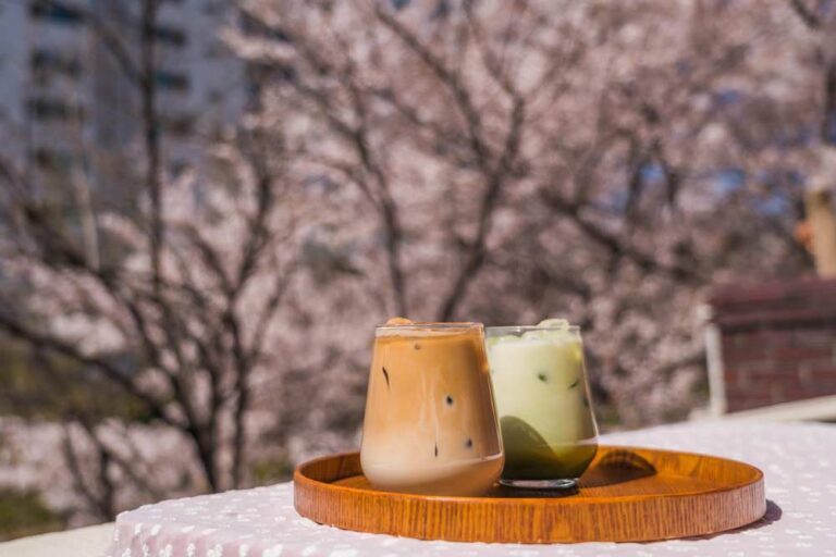 満開の桜を背景に、ウッドトレイにのせられたアイスラテと抹茶ラテ。春の韓国カフェでのんびりと過ごすひとときを感じさせる一枚