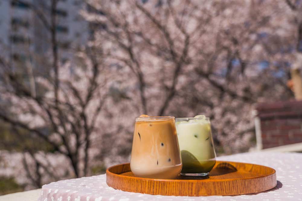 満開の桜を背景に、ウッドトレイにのせられたアイスラテと抹茶ラテ。春の韓国カフェでのんびりと過ごすひとときを感じさせる一枚