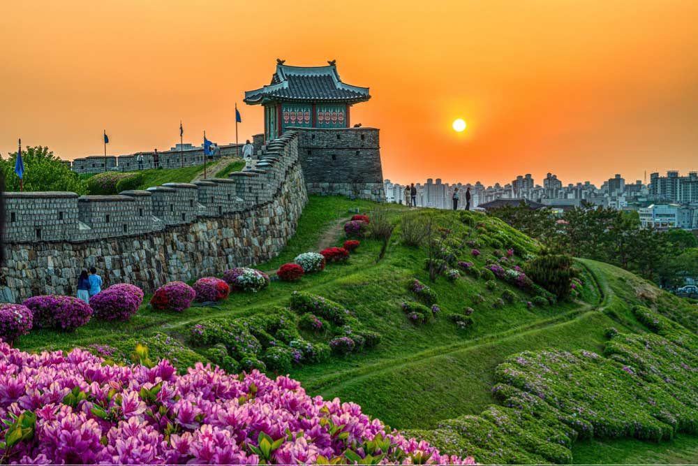 夕焼けに染まる華城(ファソン)とその城郭。春の花々が咲き誇り、市街地と歴史的建造物のコントラストが美しい。