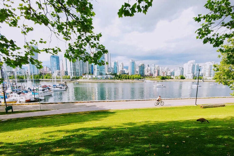 7月のカナダ・バンクーバー、ウォーターフロントと高層ビルを望む公園の風景