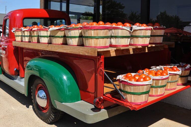 ラ・トマティーナ当日にトマトを満載してブニョールの会場へ向かうトラックの荷台