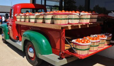 スペインのトマト祭りで使われるトマトを積んだトラックの荷台