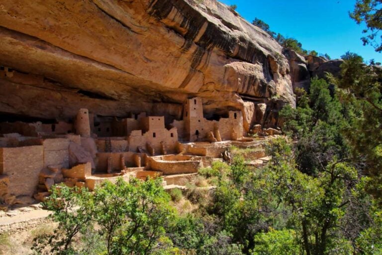 コロラド州メサ・ヴェルデ国立公園のクリフ・パレス。断崖に築かれた先住民アナサジ族の遺跡が樹木に囲まれている。