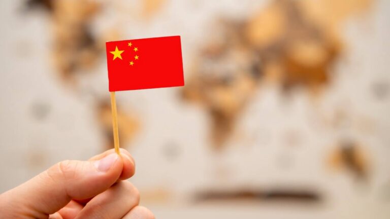 中国の国旗を手に持った様子。