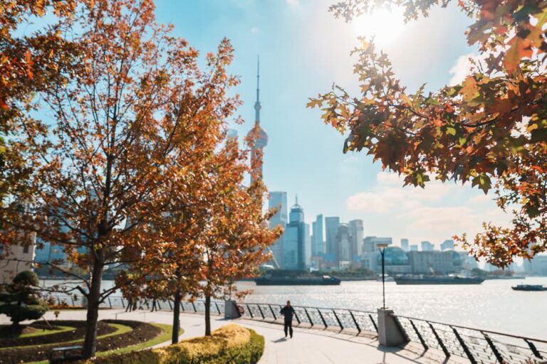 秋色の木々越しに上海の高層ビル群を望む風景。海外旅行の月別ベストシーズンを比較するイメージ