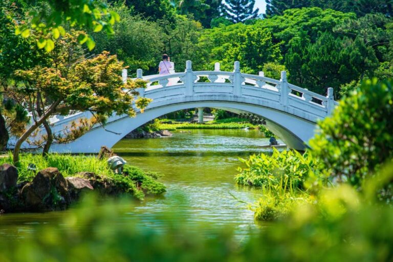 台北の庭園にある白いアーチ型の橋と緑豊かな風景