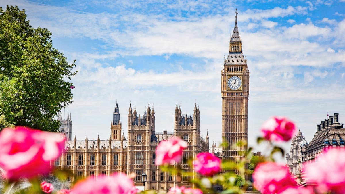 バラ越しに見えるビッグベンと国会議事堂を写したロンドン観光の象徴的な風景