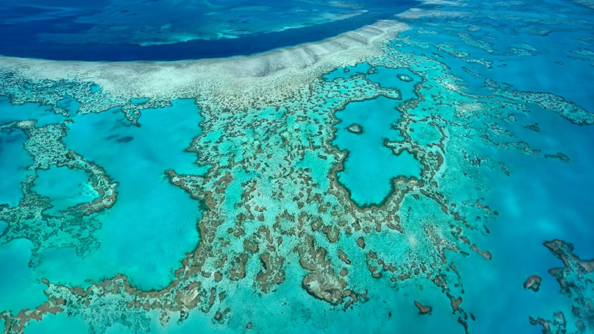 透き通るエメラルドブルーの海に広がるグレートバリアリーフの壮大なサンゴ礁。