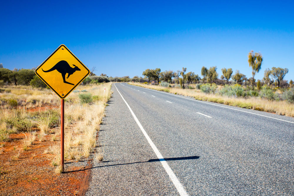 オーストラリアのアウトバックにあるカンガルー注意の道路標識と青空の一本道