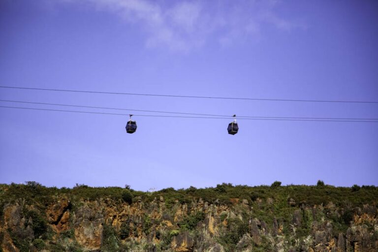 熱帯雨林の上空を進むスカイレール・レインフォレスト・ケーブルウェイのゴンドラ
