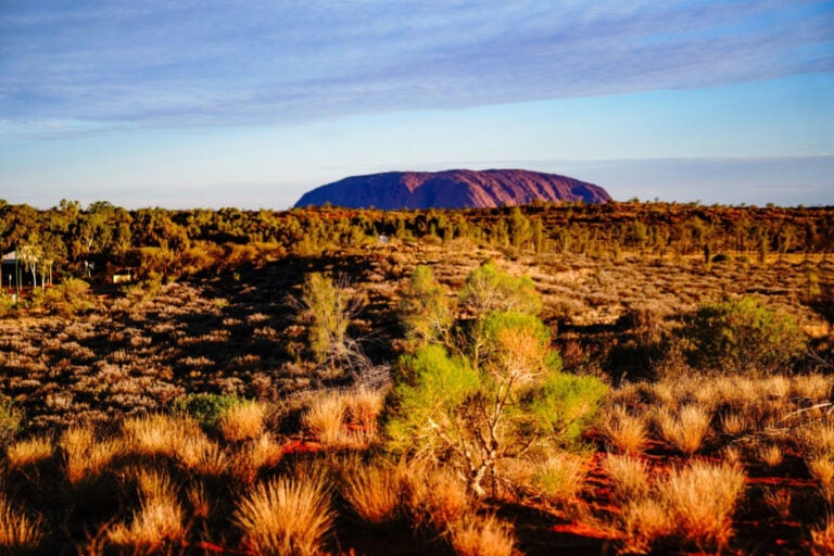 澄んだ青空の下、オーストラリア・ウルルを遠景に望む広大な赤土の大地と草木が映し出された風景